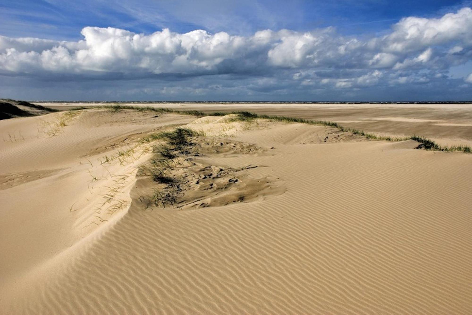 Ara Dune Hotel De Panne Eksteriør bilde